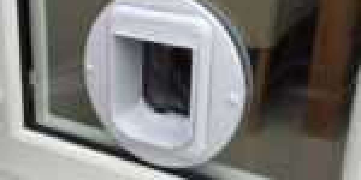 13 Things About Economical Cat Flap Installer You May Not Know